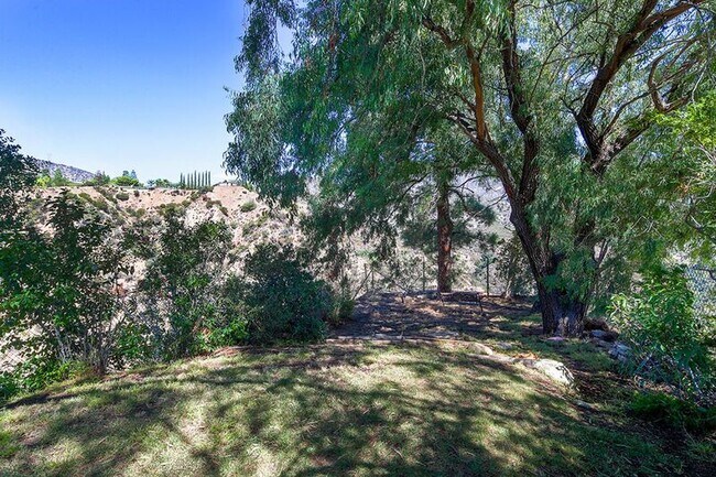 Building Photo - 279 Starlight Crest Dr