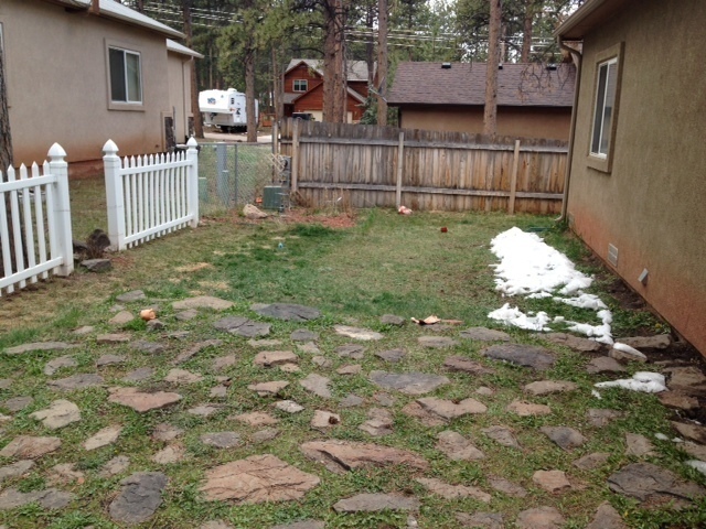 Building Photo - Adorable 3 Bedroom Home in Woodland Park