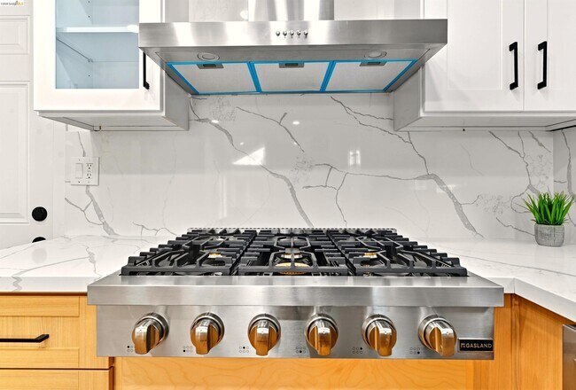 Building Photo - 11 Paddock Ct