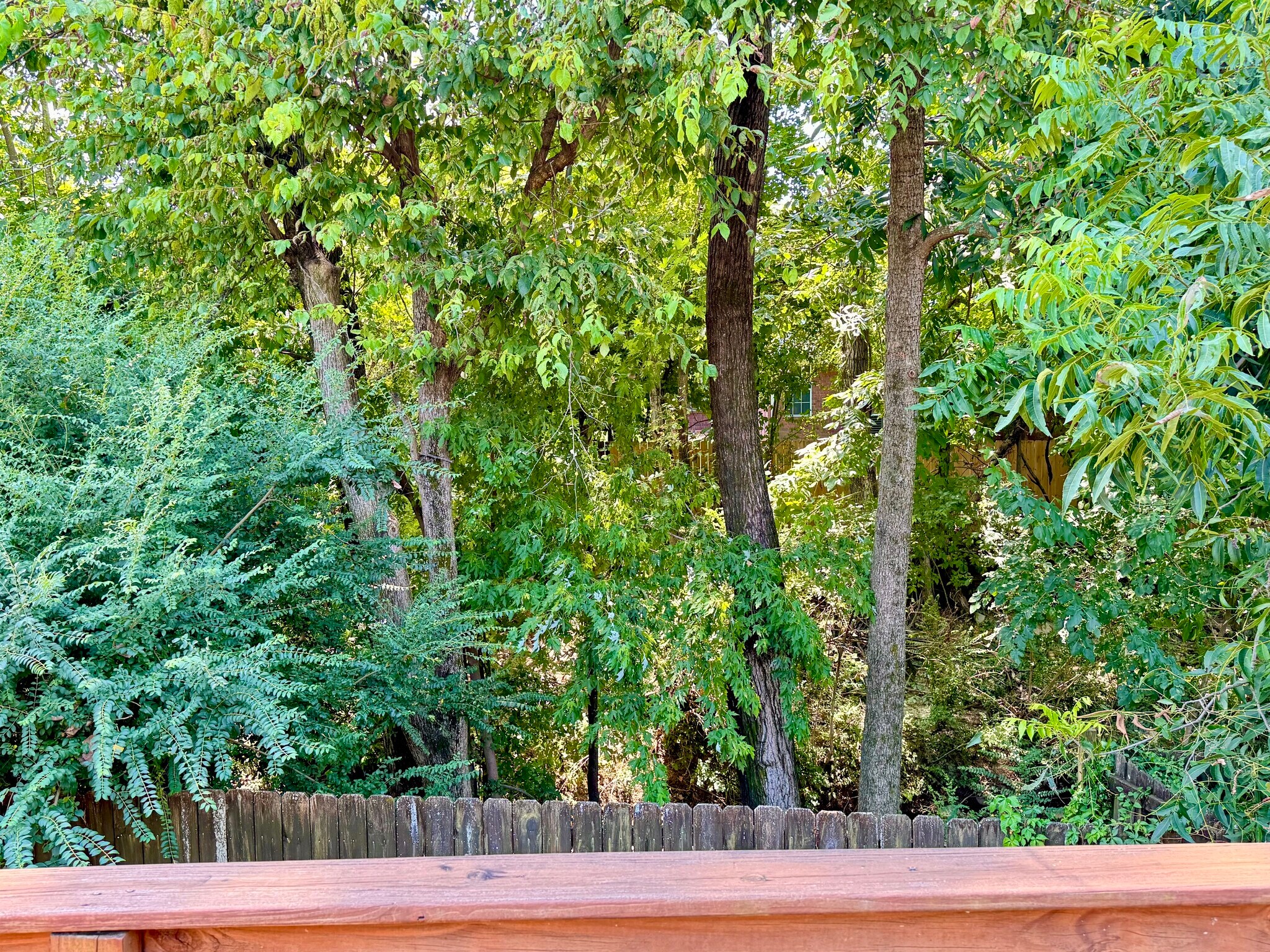 Building Photo - 1217 Brady Hollow Ln
