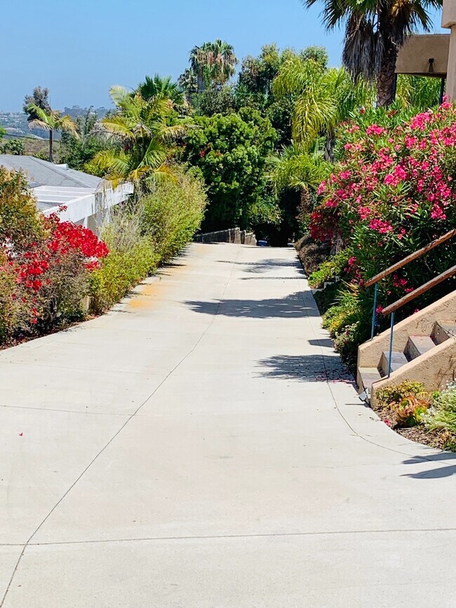 Building Photo - Leucadia Guest Cottage - Unfurnished