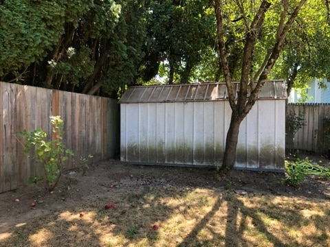 Shed in the back yard with pie cherry tree in front of it.. - 4808 SE Salmon St