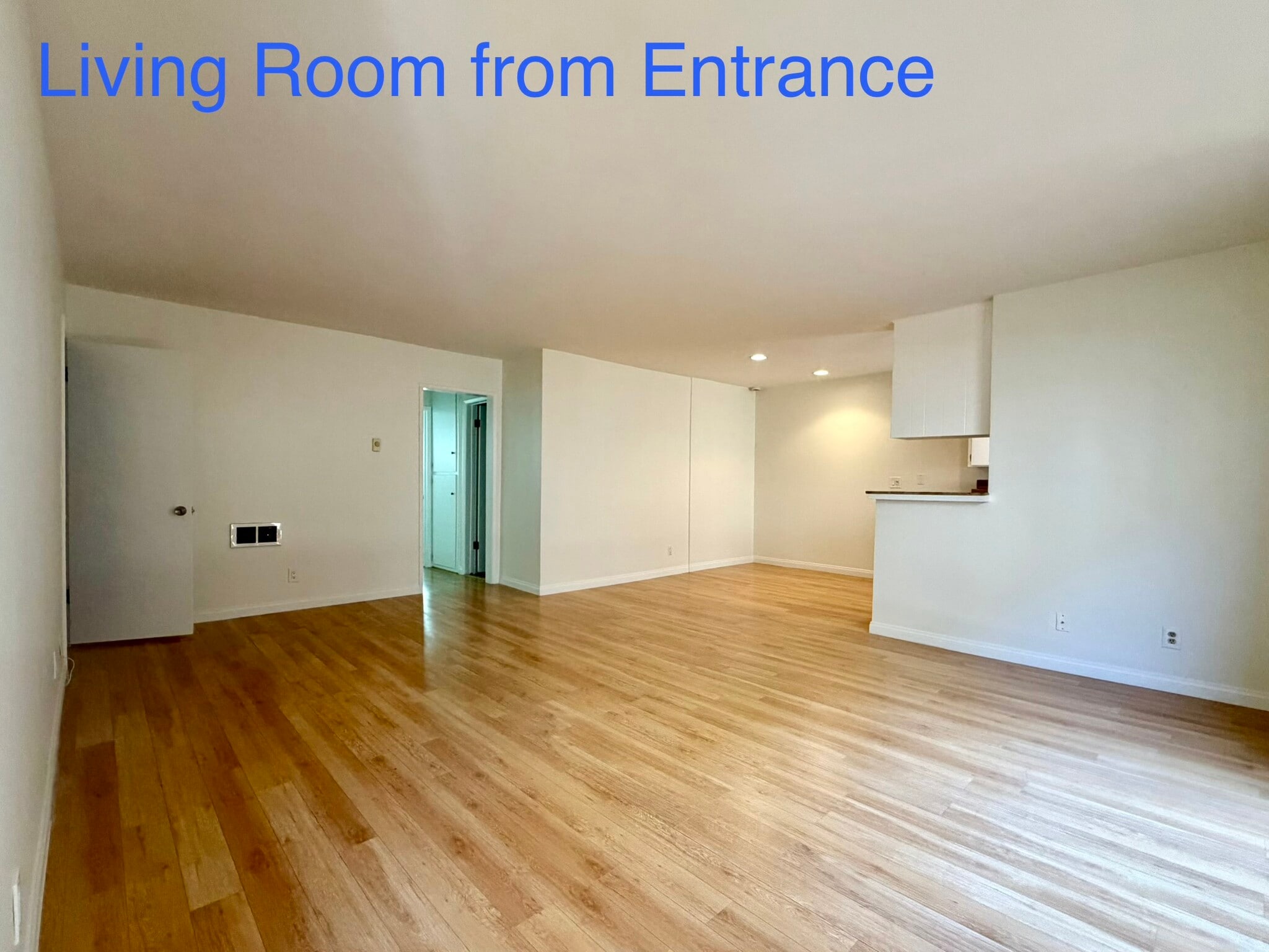 Living Area from entrance - 844 7th St