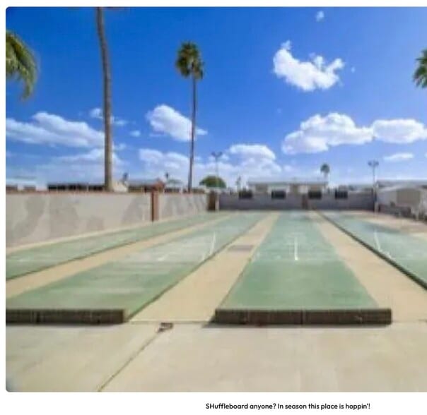 Tons of activities from shuffleboard to socials in season. - 11475 S Clara Anita Dr