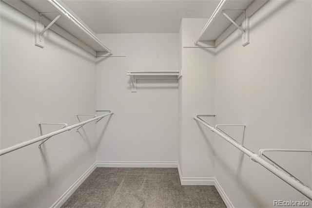 Building Photo - 953 Shadow Mountain Dr