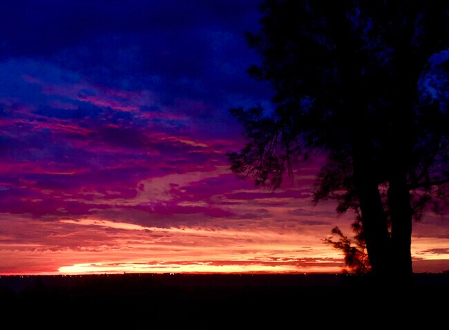 Pre-dawn sunrise from condo - 6400 Flotilla Dr