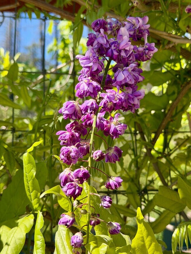 Building Photo - 321 Dutch Henry Canyon Rd