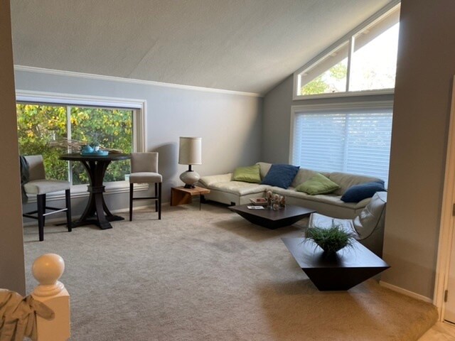 Building Photo - 943 Lurline Dr