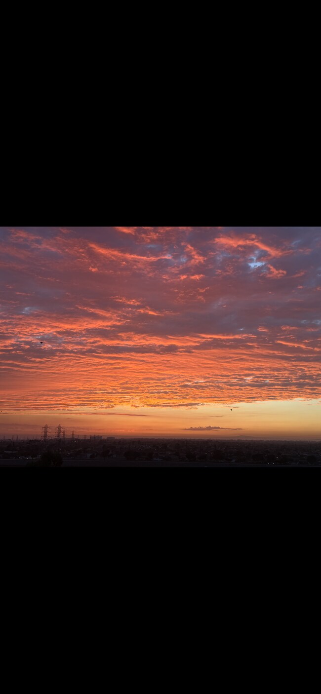 Balcony View - 2205 Pacific Ave