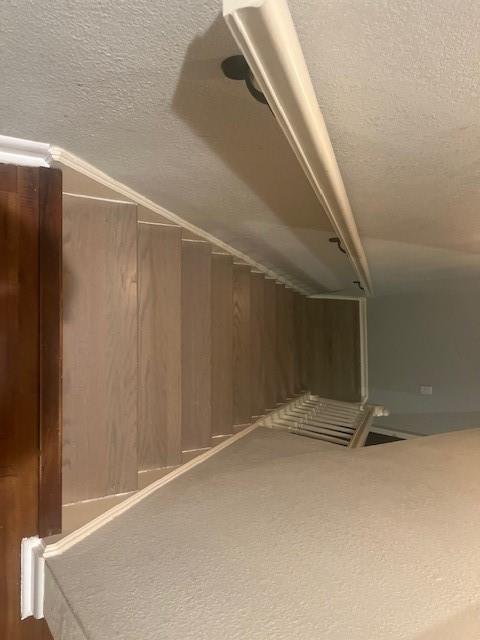 Building Photo - 1523 Park Birch Ln