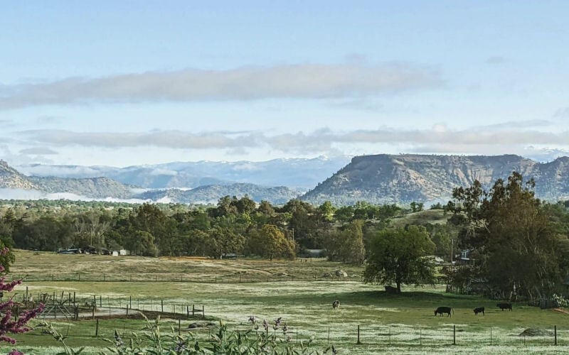 Wake Up to This View - 26178 Whispering Oak Ln