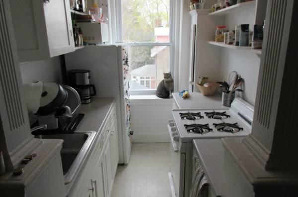 Building Photo - 0.0 bedroom in Cambridge Massachusetts 02138
