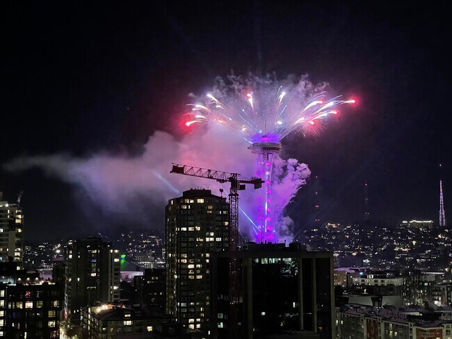 Space Needle Fireworks - 2201 3rd Ave