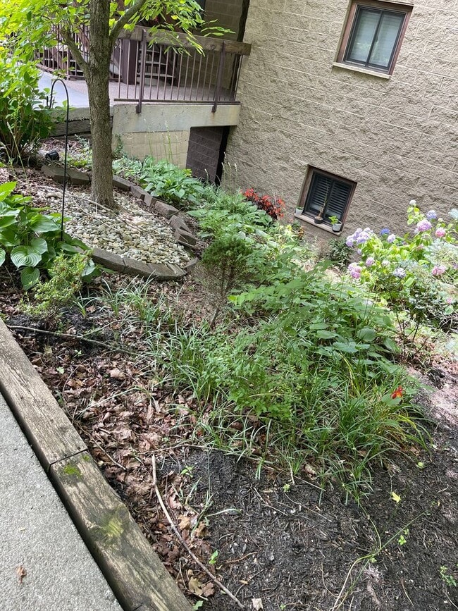 Building Photo - COZY & CONVENIENT!!!!