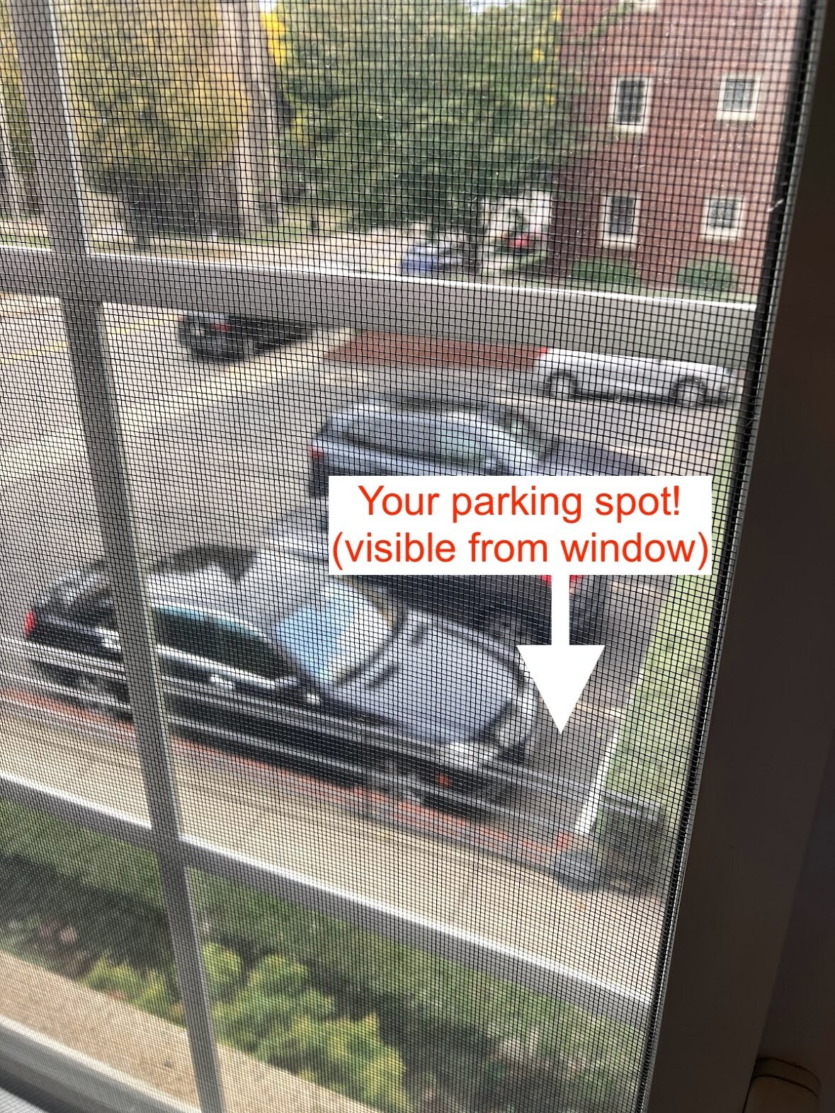 Building Photo - 32 Saint Paul St