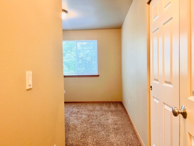 Building Photo - Enormous 4 Bed 2.5Bath + Bonus Room Great Lacey Neighborhood