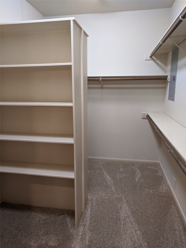 Building Photo - 5106 Olympia Fields Ln