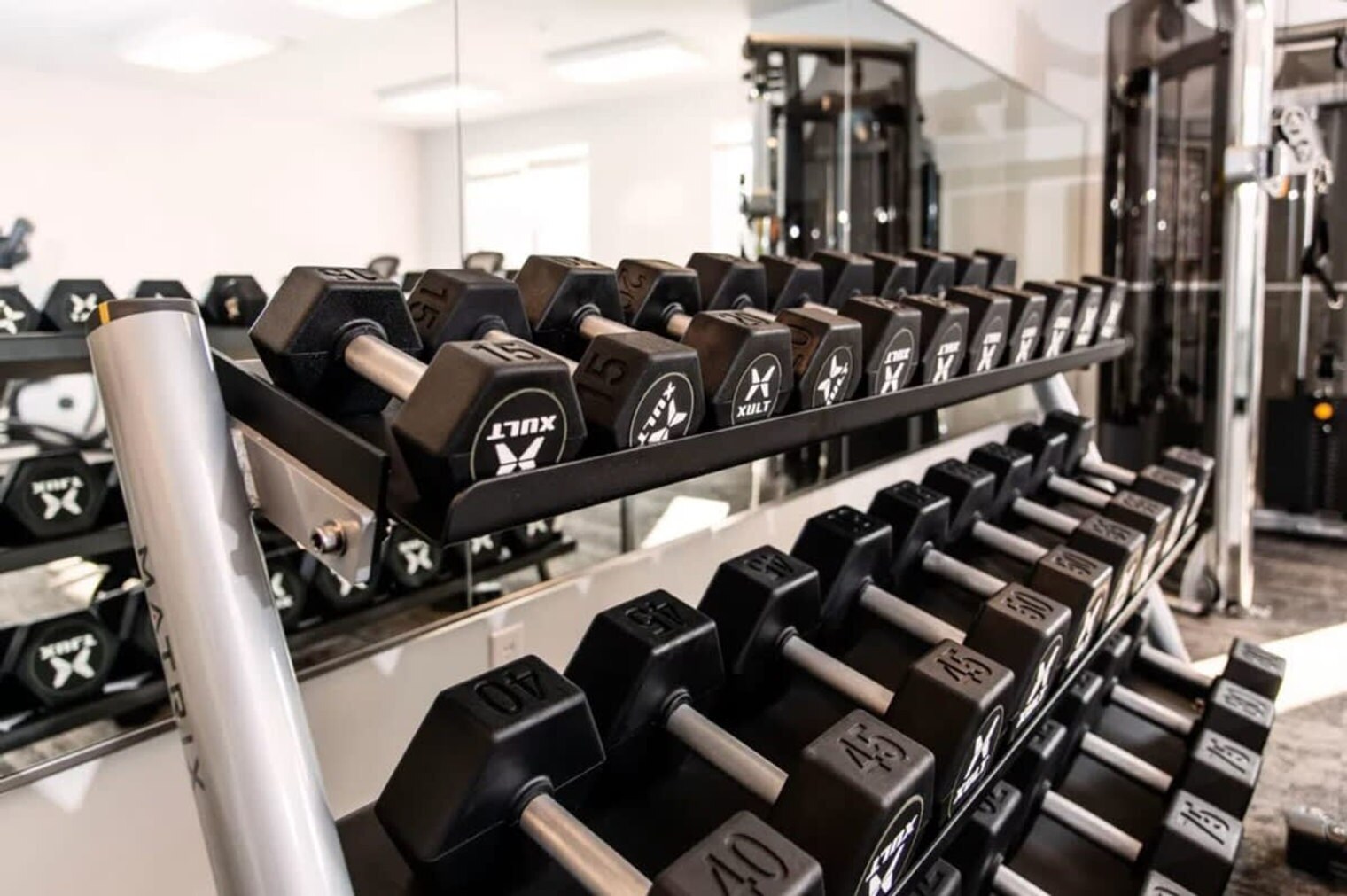 Building Photo - 8506 Westfield Blvd