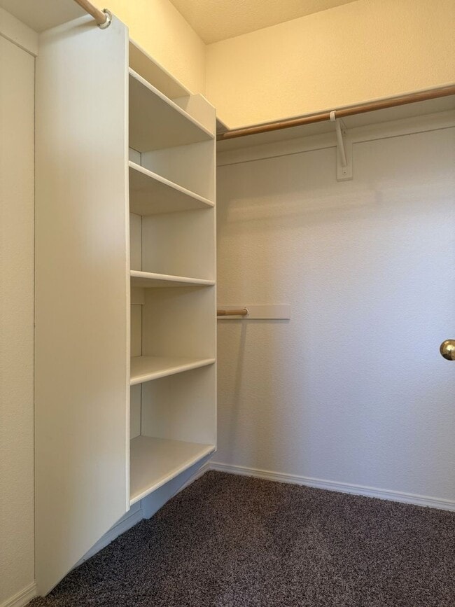 Building Photo - Move in Ready 3/2