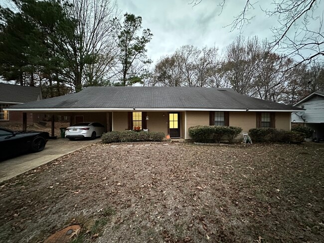 street view - 344 Brookwoods Dr