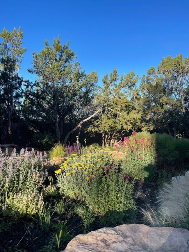 Building Photo - Turnkey Northside Casita in a Garden Setting