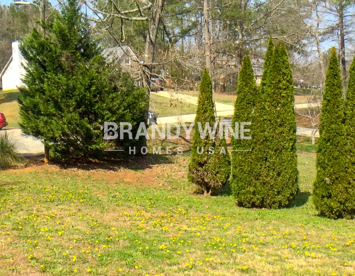 Building Photo - 1026 Miss Amber Way