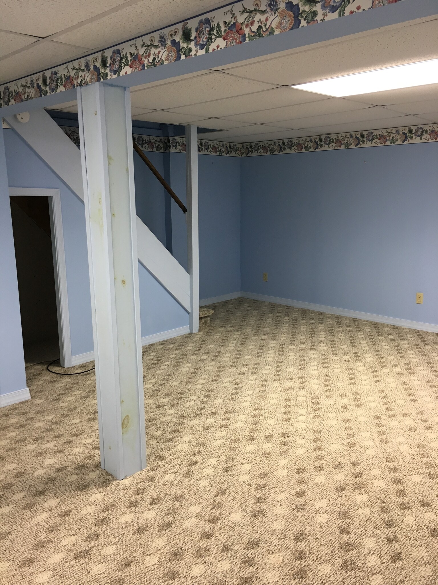 Finished basement 2 - 556 Nicholas Ave