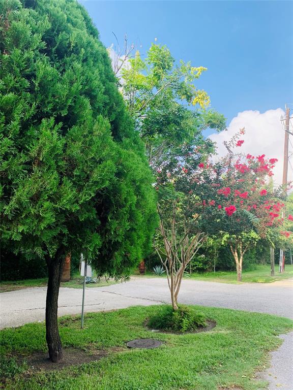 Building Photo - 1611 Mapleton Dr