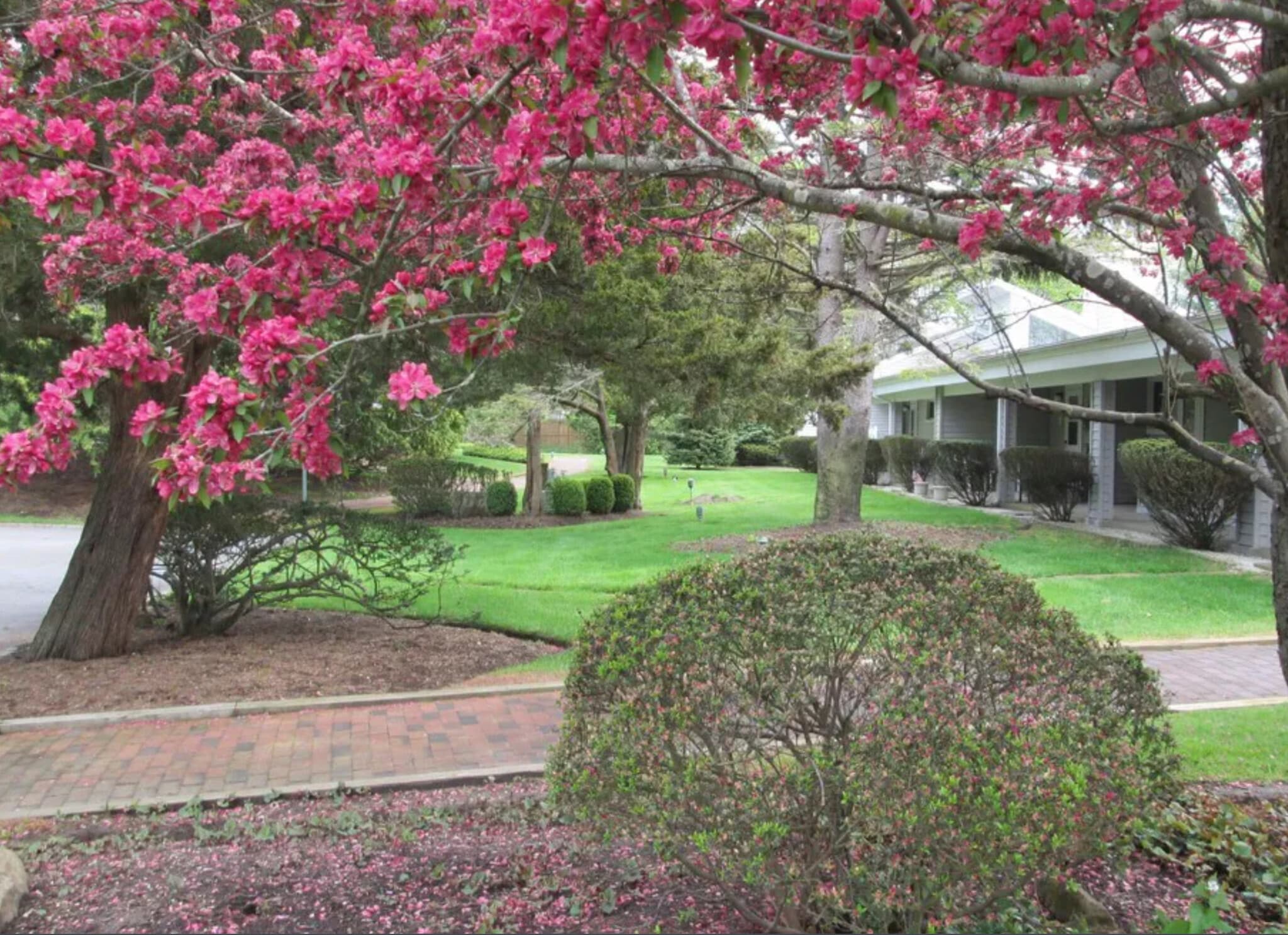 Building Photo - 221 Mill Rd