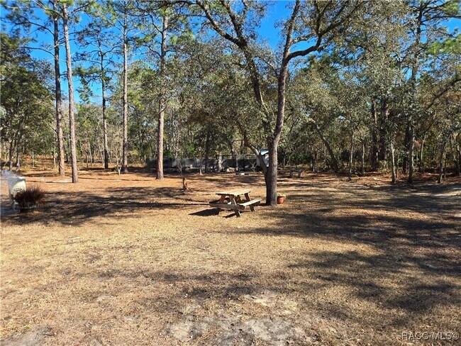 Building Photo - 15426 Mottled Owl Rd