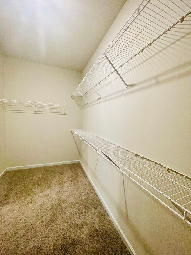 Building Photo - 3924 Saddle Bag Ct