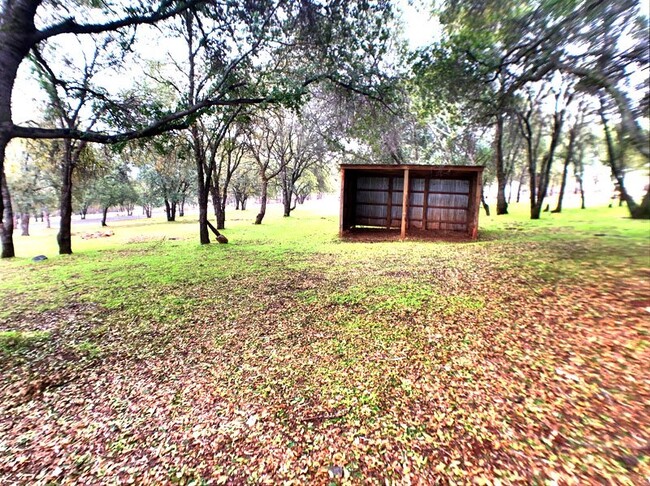 Building Photo - Equestrian property in Pilot Hill!