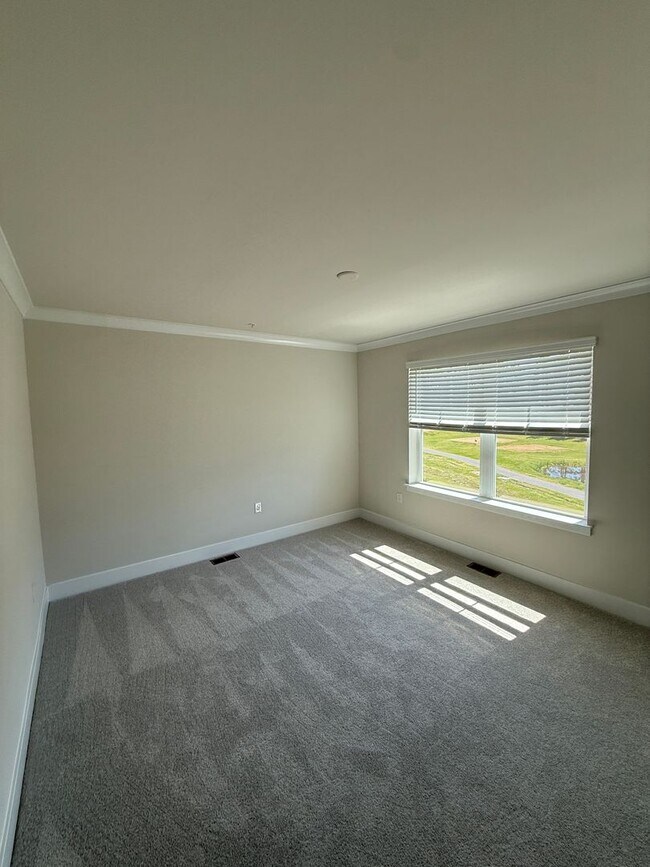 Building Photo - New Townhome Near Route 50 & Downtown Cambridge- RENT SPECIAL Free 2nd Months Rent