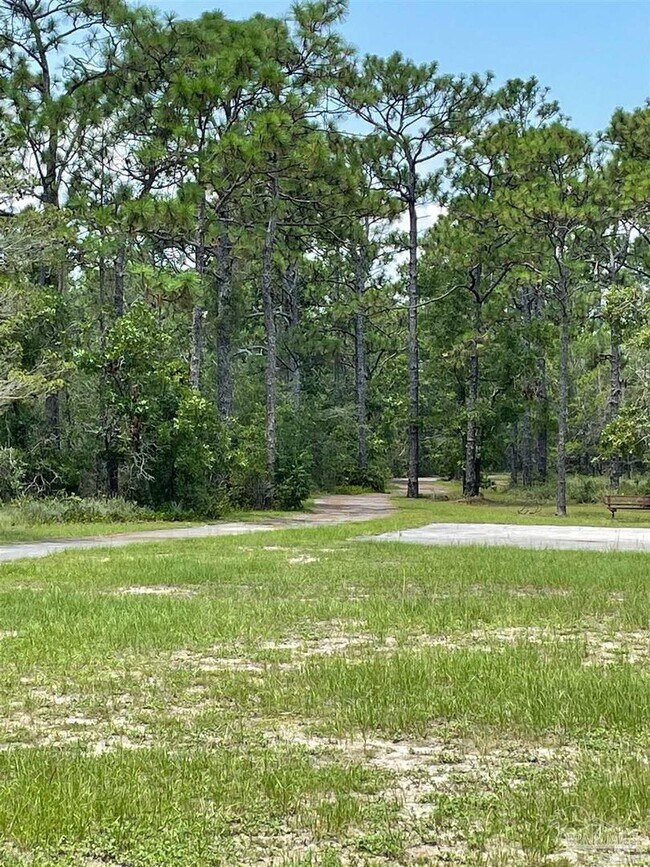 Building Photo - 4BR/3BA with privacy fenced backyard