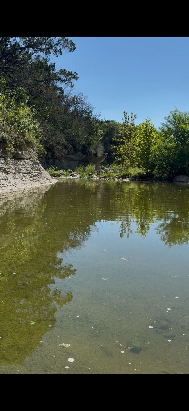 Building Photo - 297 Little River Ln