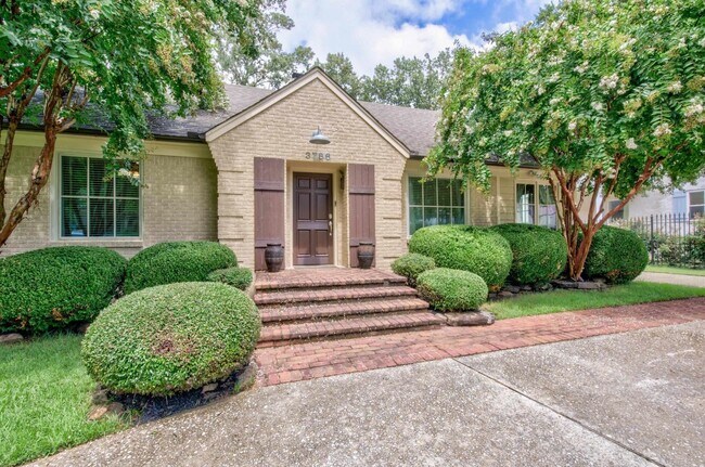 Building Photo - 3786 Rosedale Dr