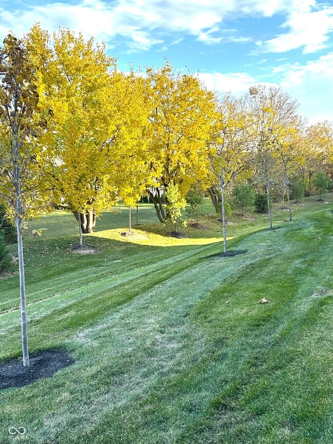 Building Photo - 3279 Haflinger Dr