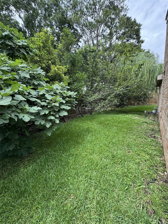 Building Photo - 11322 Briar Forest Dr