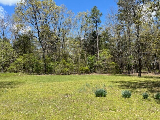 Building Photo - Come take a look at this 3-bedroom 2-bath home in Dover.