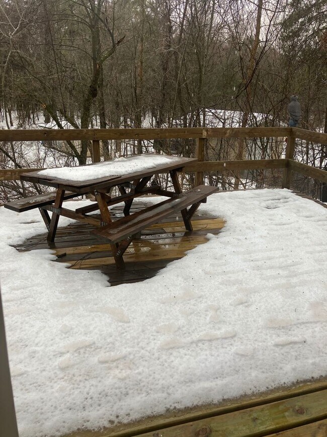 Building Photo - Stettin Duplex