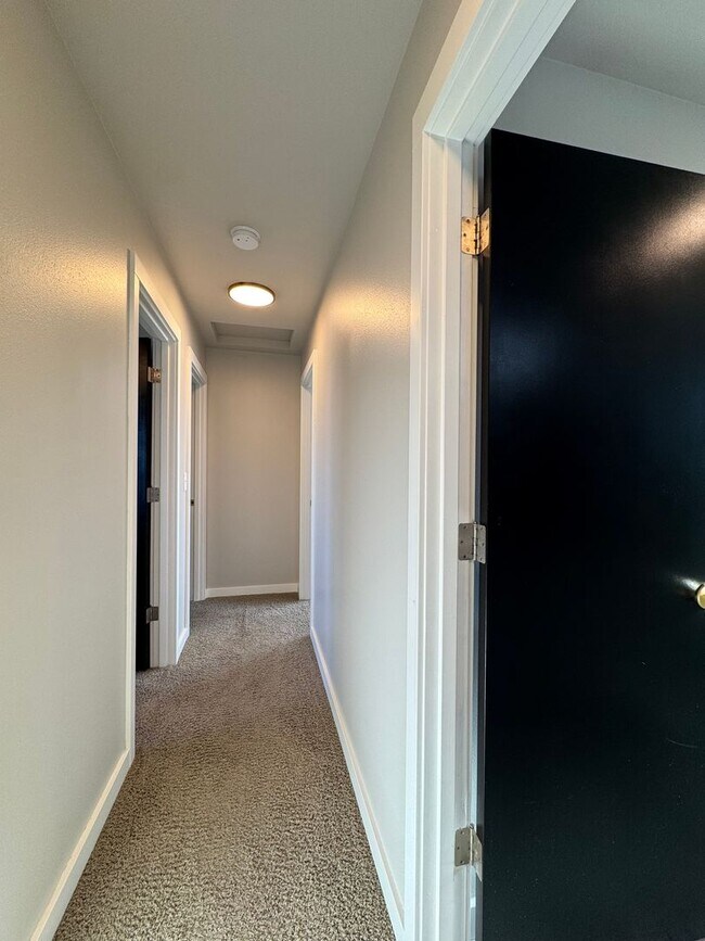 Building Photo - Newly Renovated & Ready to Impress!