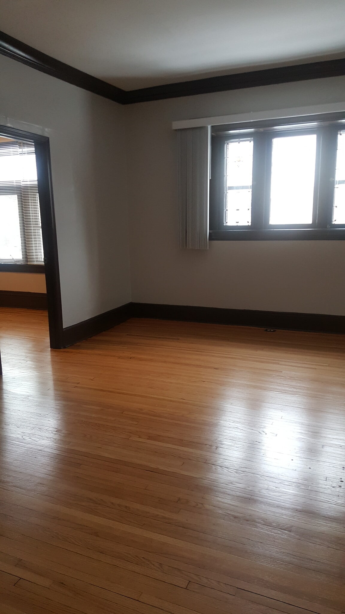 living room - 3300 1st Ave S