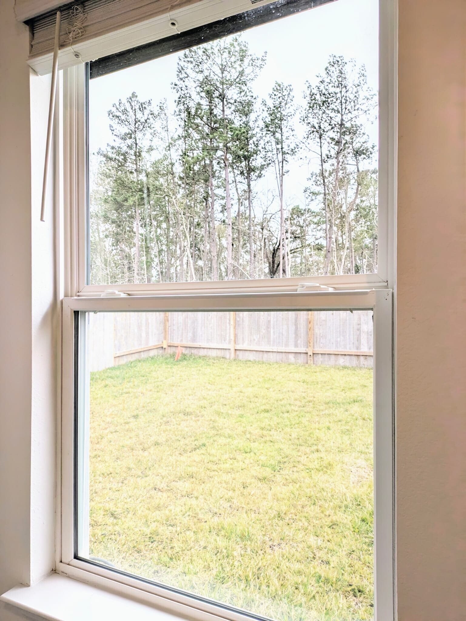 Building Photo - 24330 Saddlestone Green Dr