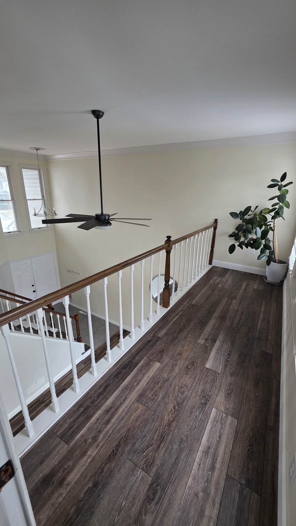 Balcony - 4296 Wimbledon Dr