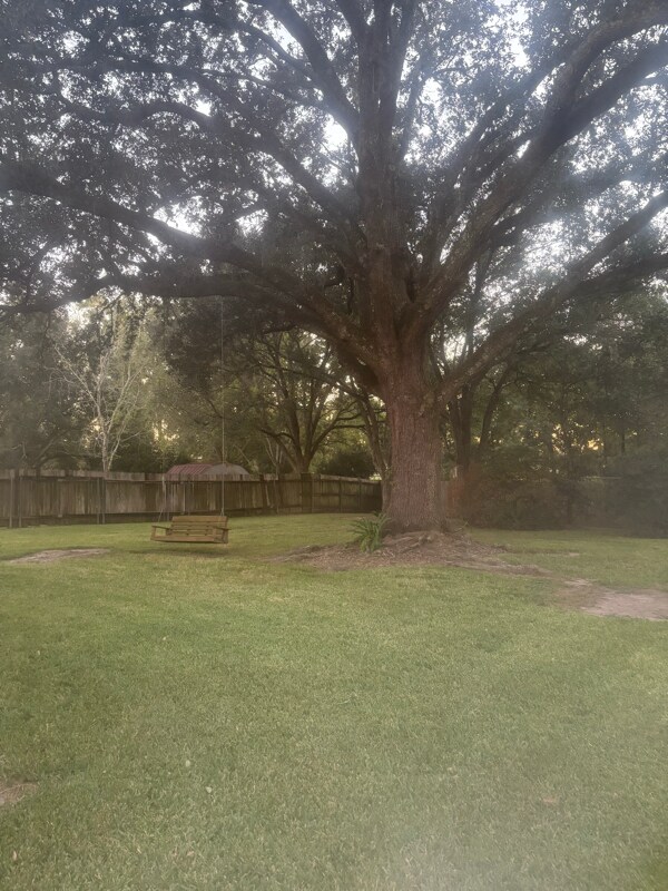 Building Photo - 900 Broadmoor Blvd