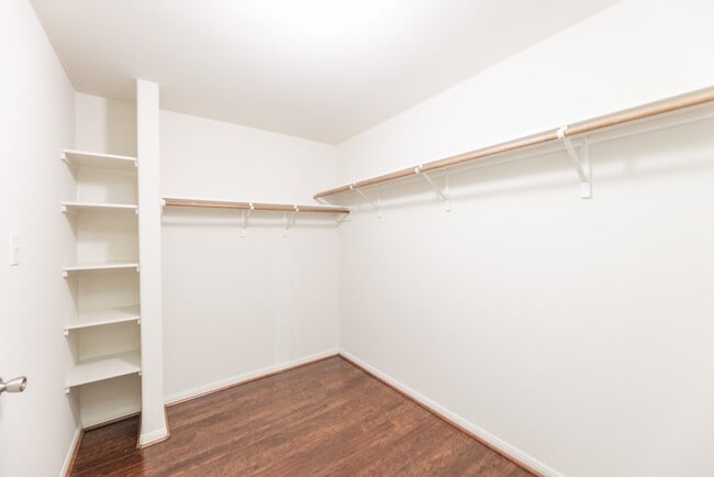 Building Photo - 3910 Enclave Mist Ln