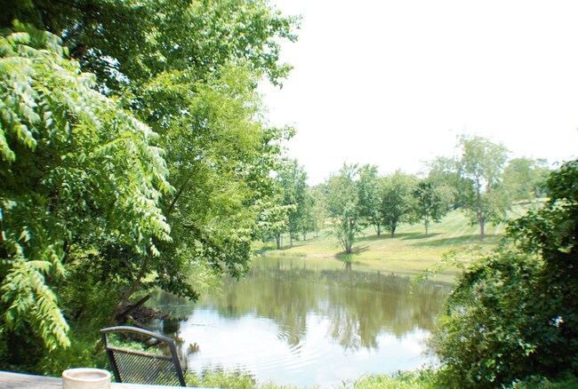 Building Photo - "Charming 3-Bed Retreat with Finished Basement & Fireplace in Scenic Mills River!" Furnished