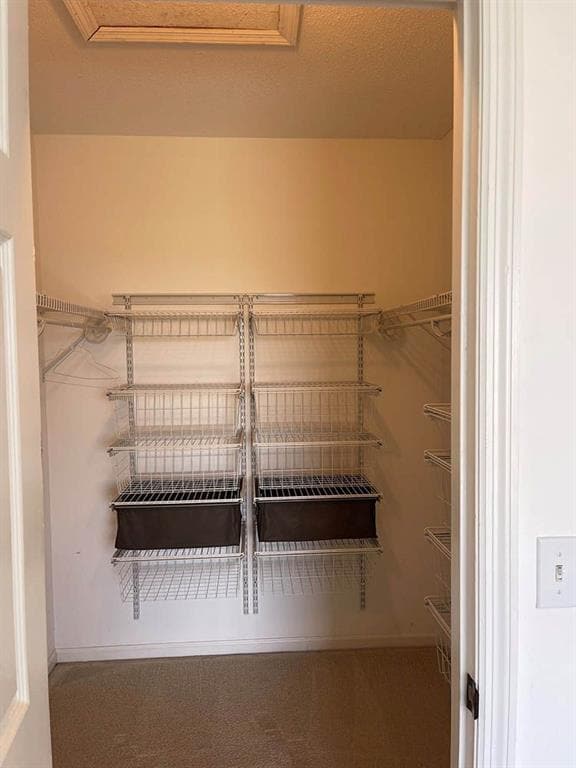 Building Photo - 309 Brockinton Marsh