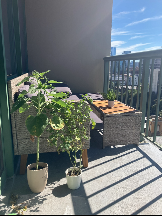 Beautiful balcony - 111 W Maple St