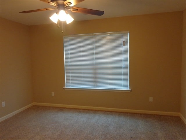 Building Photo - 10249 Sterling Ridge Dr
